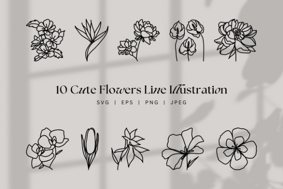 Download Cute Floral Line Art, Botanical Flowers - Art Collection