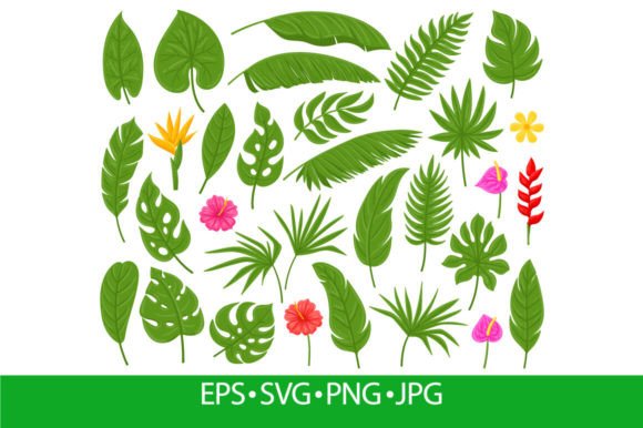 Download Cartoon Tropical Palm, Monstera, Plumeri - Art Collection