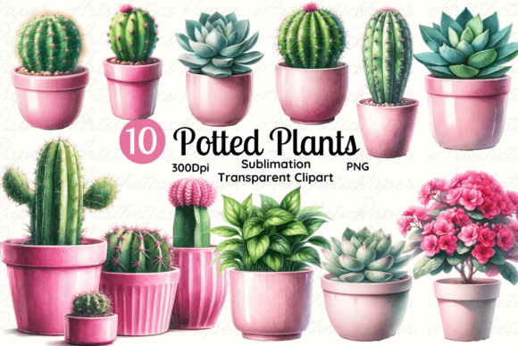 Download Potted Plant, Succulent &amp; Cactus Clipart - Art Collection