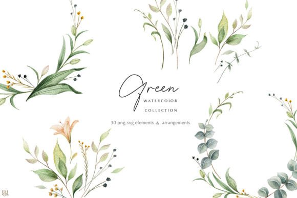 Download Watercolor Greenery Collection - Watercolor Collection