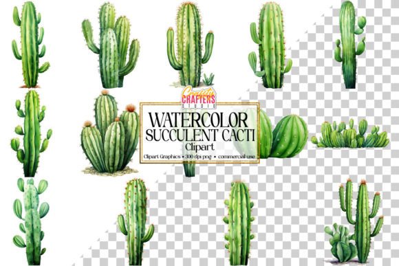 Download Succulent Cacti Watercolor Clipart - Art Collection