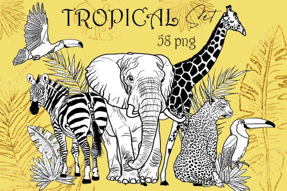 Download Tropical Linear Animals, Africa Clip Art - Art Collection