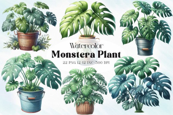 Download Monstera Plant Clipart - Art Collection