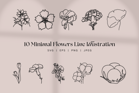 Download Clean Minimal Botanical Floral Lineart - Art Collection