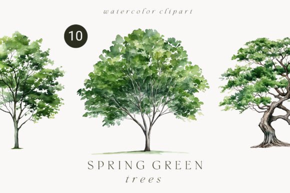 Download Watercolor Green Tree Forest Clipart - Art Collection