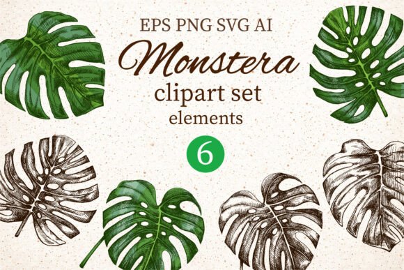 Download Monstera Clipart Set Elements - Art Collection