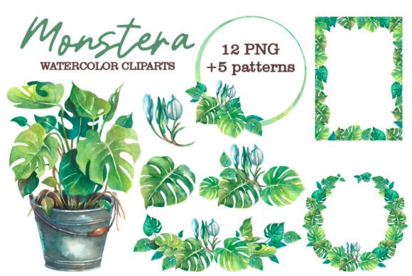 Download Monstera Watercolor Clipart - Art Collection