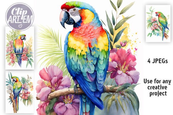 Download Tropical Parrot 4 JPEG Bundle Wall Art - Art Collection