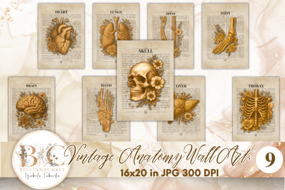 Download Vintage Anatomy Human Body Wall Art Set - Art Collection