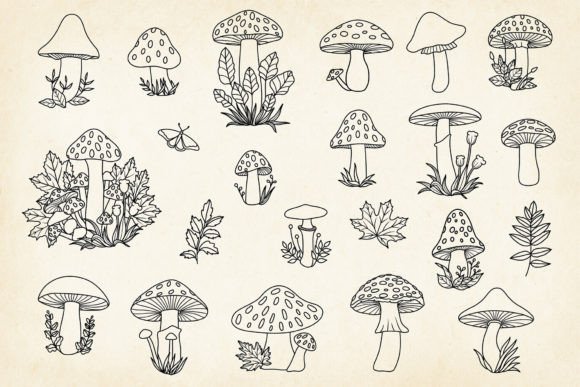 Download Hand-drawn Mushrooms Minimalist Art Set - Art Collection