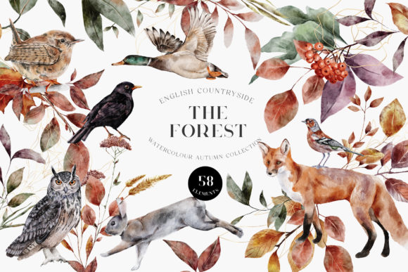 Download Autumn Forest Animals Watercolor PNG - Watercolor Collection