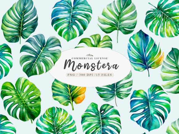 Download Greenery Monstera Leaves Clipart - Art Collection