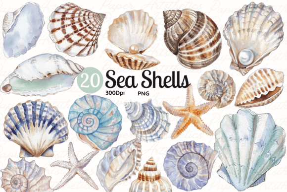 Download Seashell Clipart Sea Shell Illustrations - Art Collection