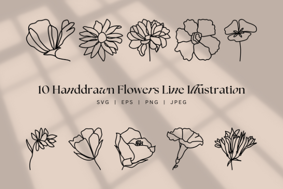 Download Handdrawn Flower Line Art, Floral Boho - Art Collection